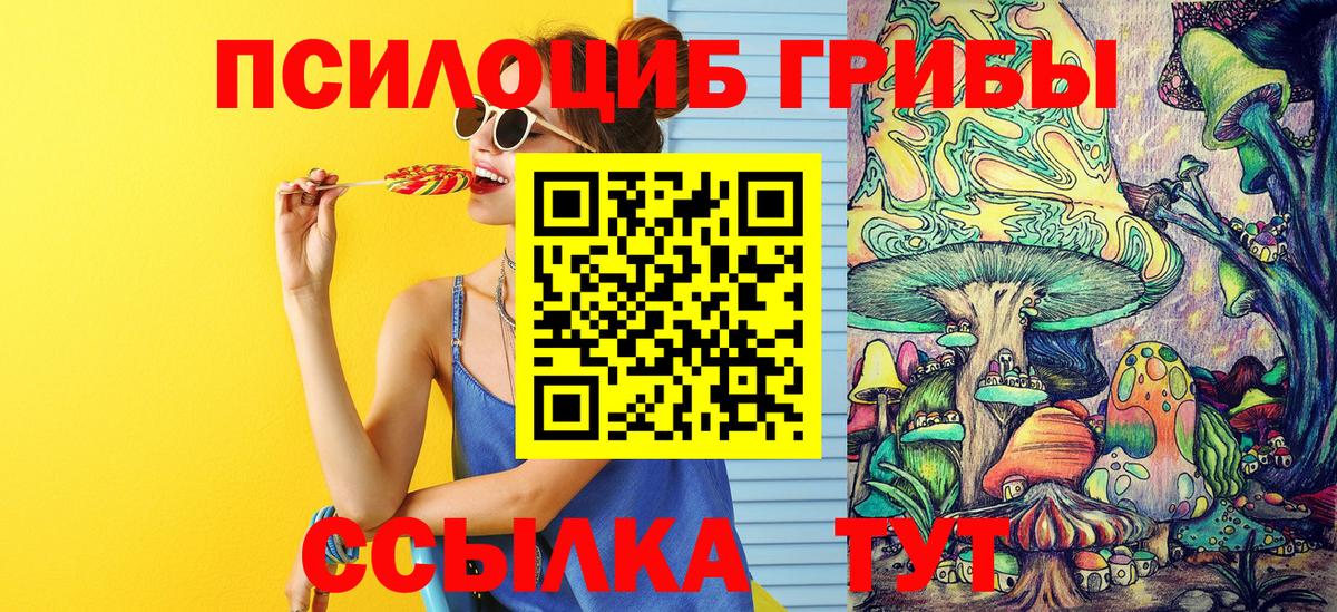 Псилоцибиновые грибы Psilocybe  Вход с VPN  Красный Сулин  Псилоцибиновые грибы Psilocybine cubensis 